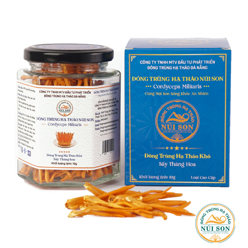 Đ&Ocirc;NG TR&Ugrave;NG HẠ THẢO KH&Ocirc; (10G) - SẤY THĂNG HOA