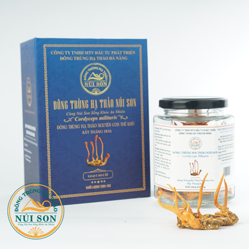 Đ&Ocirc;NG TR&Ugrave;NG HẠ THẢO NGUY&Ecirc;N CON (10G) - SẤY THĂNG HOA