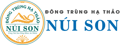 Đ&ocirc;ng Tr&ugrave;ng Hạ Thảo N&uacute;i Son 【 Nguy&ecirc;n Chất 100% 】